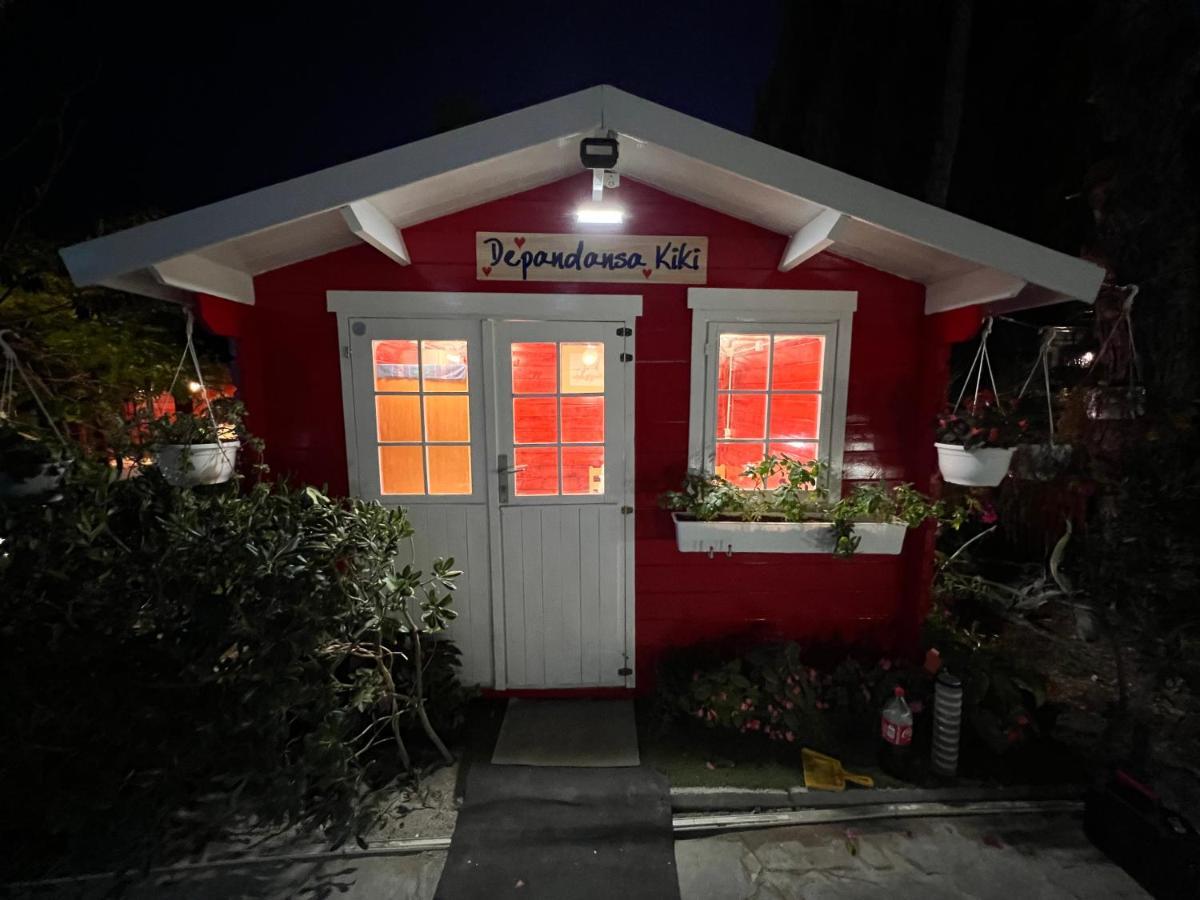 Villa Dalibor wellness, 2 jacuzzies, sauna, parking, grill, observatory, Mediterranean garden Nin Esterno foto