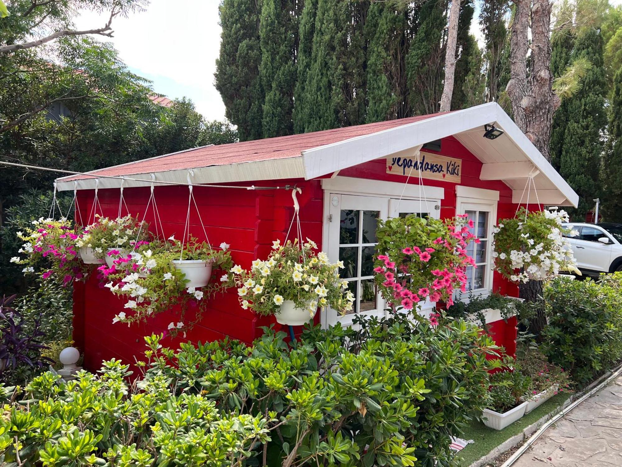 Villa Dalibor wellness, 2 jacuzzies, sauna, parking, grill, observatory, Mediterranean garden Nin Esterno foto