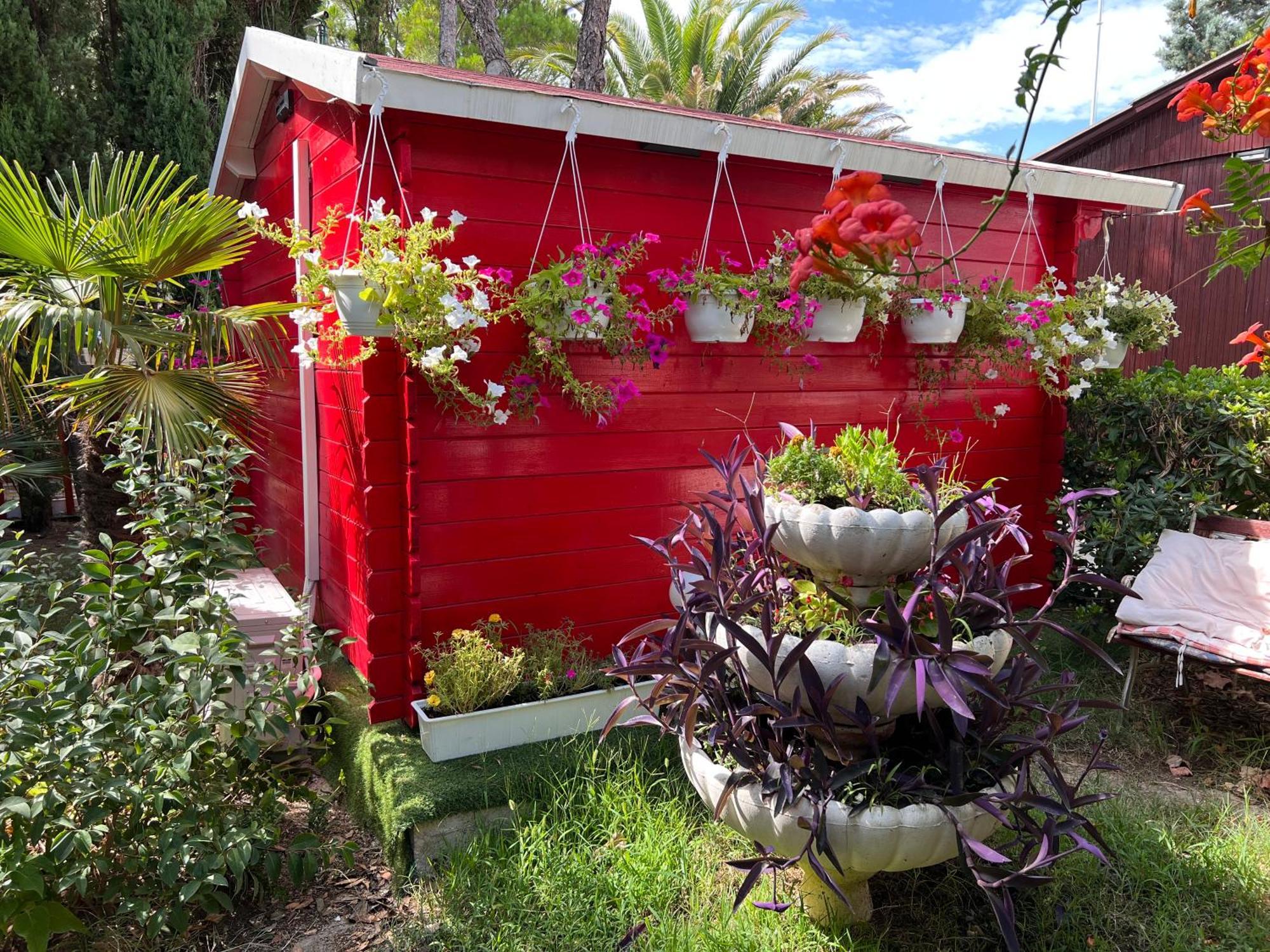 Villa Dalibor wellness, 2 jacuzzies, sauna, parking, grill, observatory, Mediterranean garden Nin Esterno foto